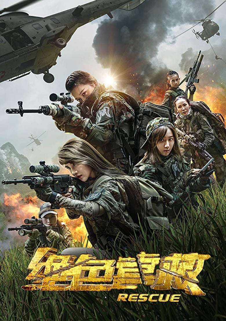 Skyfire (2019)